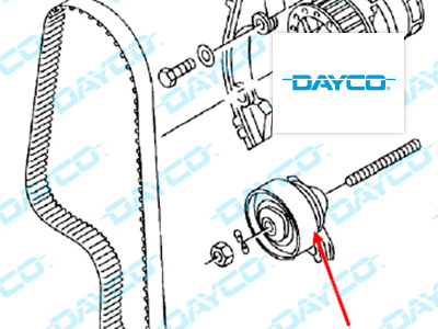 Información técnica Dayco